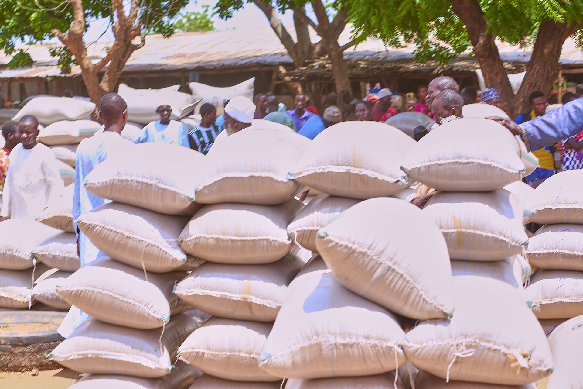 Bags of grain in Potiskum grain market, Nigeria